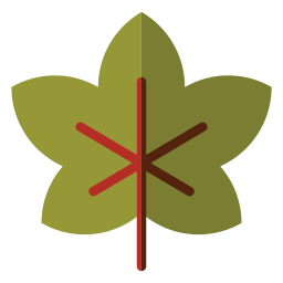 Leaf icon