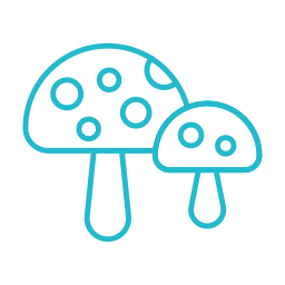 Mushroom icon