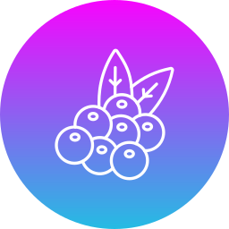 Berries icon