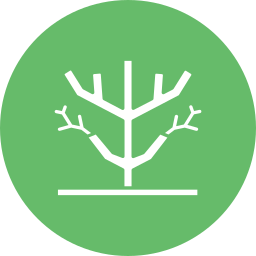 Dry tree icon