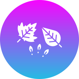 Dry leaves icon