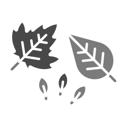 hojas icono