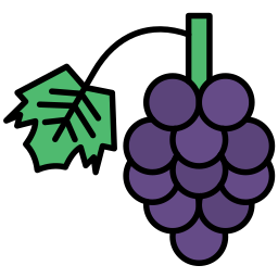 Berries icon