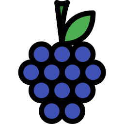 Raspberry icon