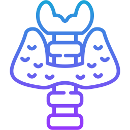 endocrinologie icoon