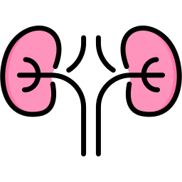 nefrología icono