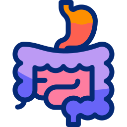 Digestive system icon