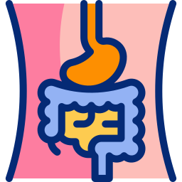 sistema digestivo icono