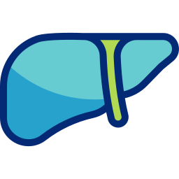 Liver icon