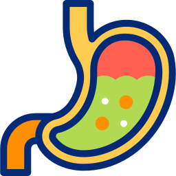 Stomach icon