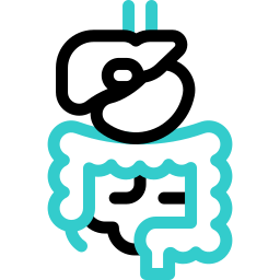 sistema digestivo icono