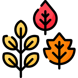 feuilles Icône