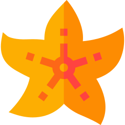 불가사리 icon