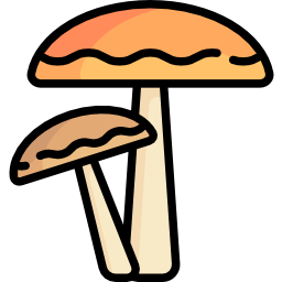hongos icono