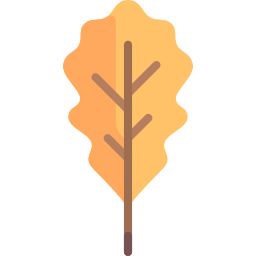 Oak leaf icon