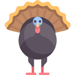 Turkey icon