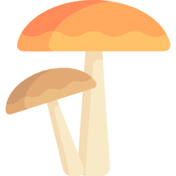 paddestoelen icoon