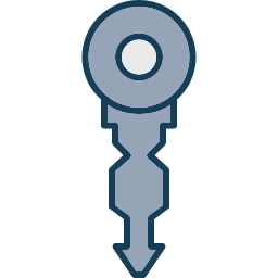 Key icon