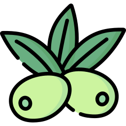 Оливковое иконка