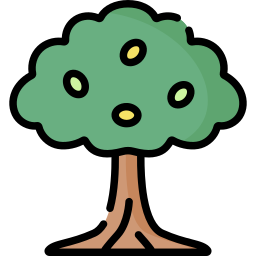 drzewo oliwne ikona