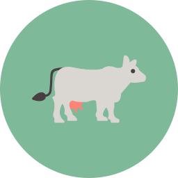 vaca icono