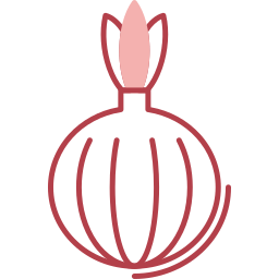 Onion icon