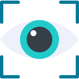 Vision icon