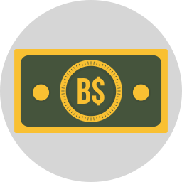 dólar bahameño icono