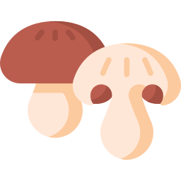 champignon Icône