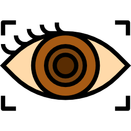 oog scan icoon