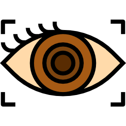 Eye scan icon