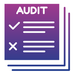 Audit icon