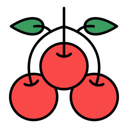 beeren icon