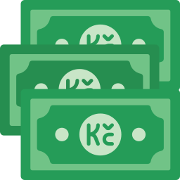 Koruna icon