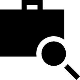 Inspection icon