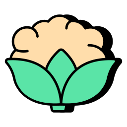 Cauliflower icon