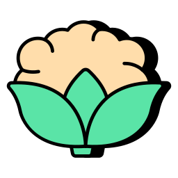 couve-flor Ícone