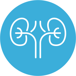腎臓学 icon