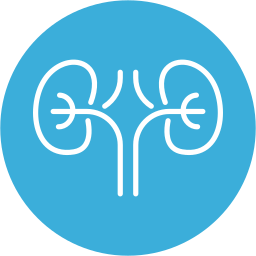 nephrologie icon