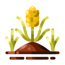 Rice field icon