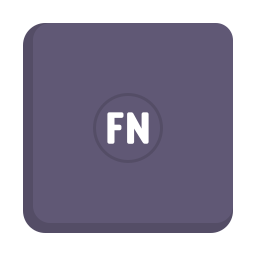 Fn icon