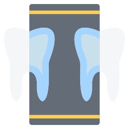 X ray icon