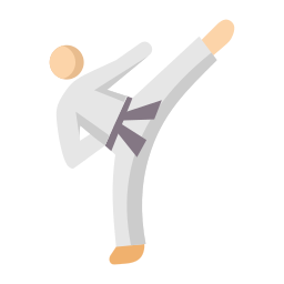 taekwondo Icône