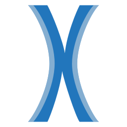 Letter x icon