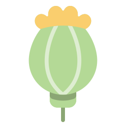 植物 icon