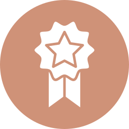 distintivo stella icona