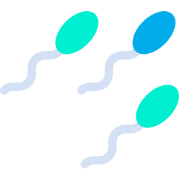 sperma icon