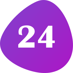 número 24 icono