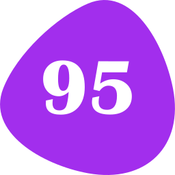 Ninety five icon