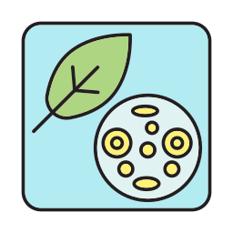 cellule de plante Icône